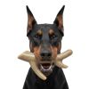 Ever Antler Nylon Chew Bone | Elk Antler Shaped Dog Toy for Aggressive Chewers | SodaPup